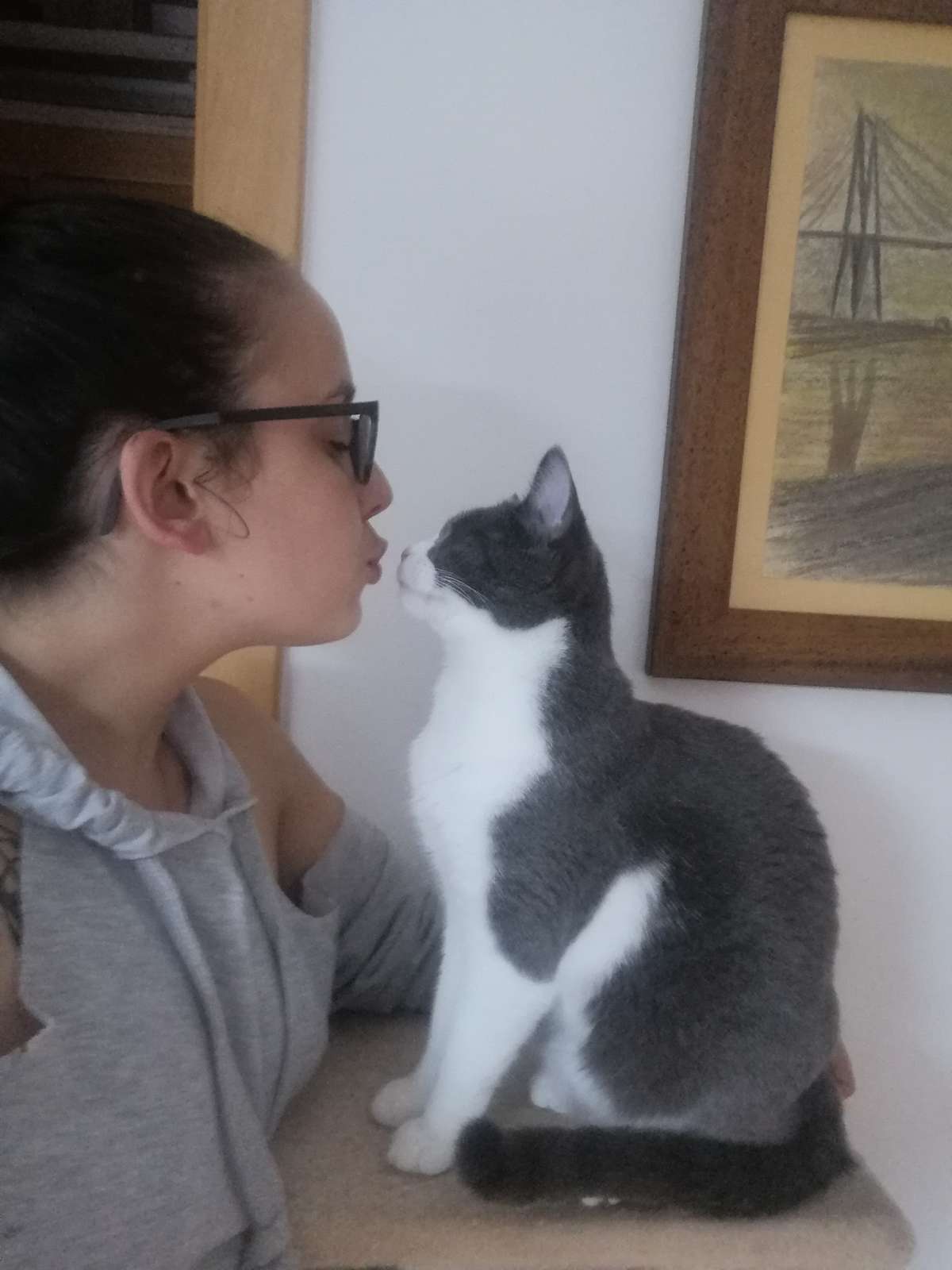 Vitória Galvão - Coimbra - Pension et garderie pour animaux