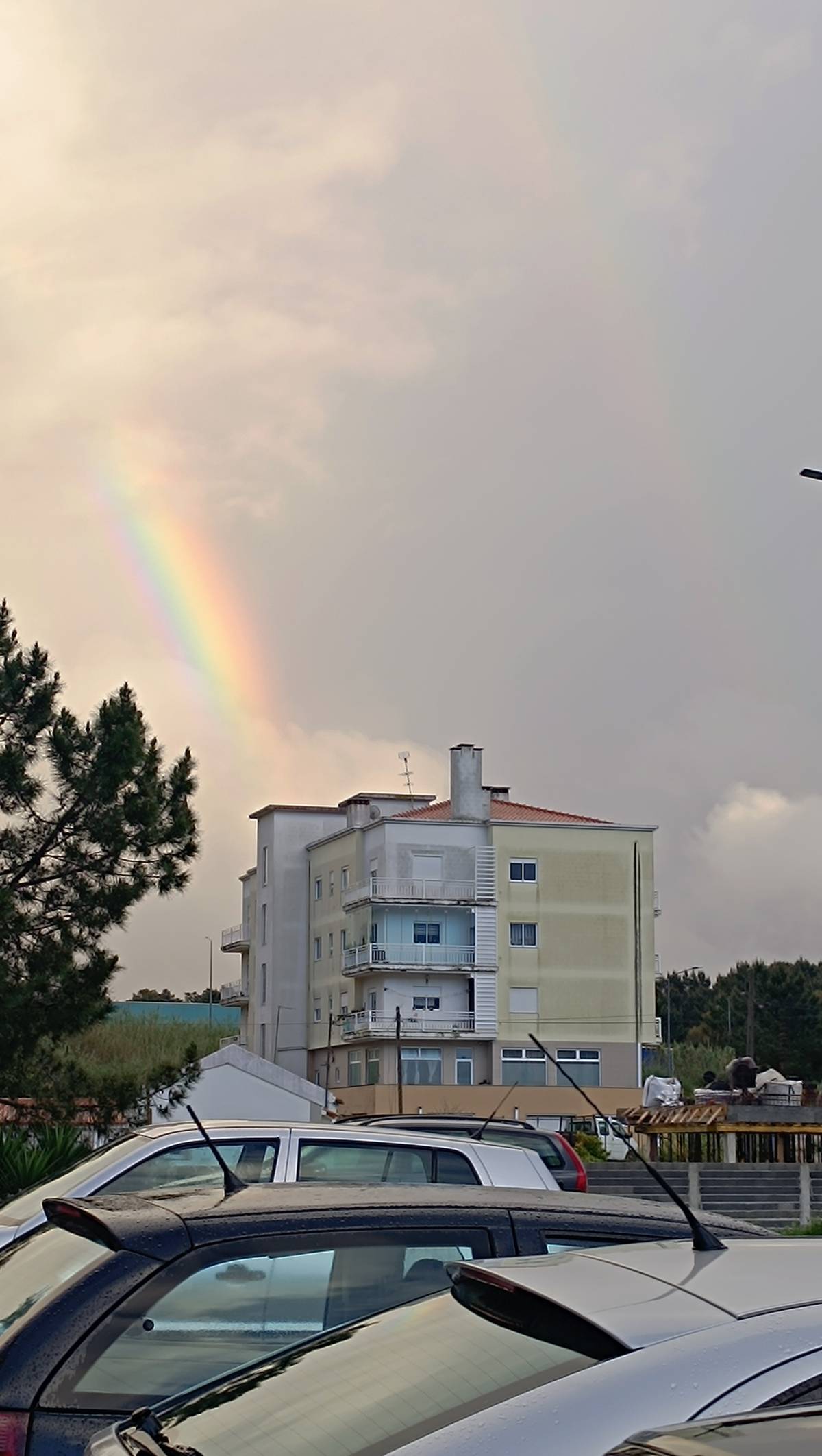 Detalhista - Caldas da Rainha - Organização da Casa