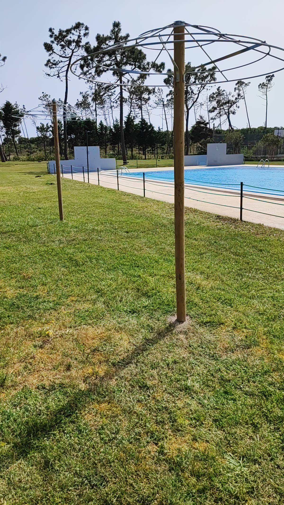 O Algarvio Manutenção de Jardins - Figueira da Foz - Tree Stump Grinding and Removal