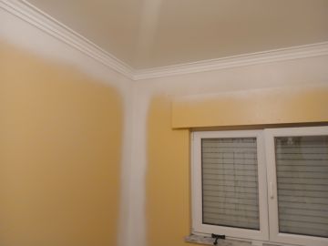 Vital - Amadora - Reparação de Papel de Parede