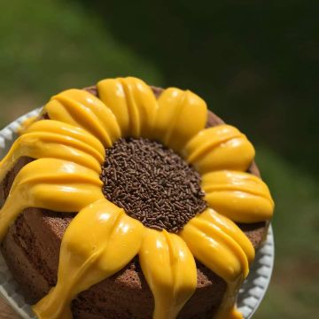 Carisma limpa - Caldas da Rainha - Limpieza de primavera
