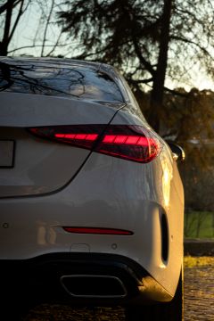 Wedding Officiant - Carlos Silva - Dawarahat