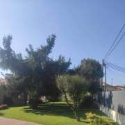 Hugo - Vila Nova de Gaia - Jardinagem