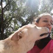 Vitória Galvão - Coimbra - Services pour animaux de compagnie