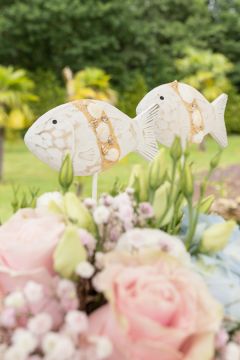 Albano - Paredes - Event Photography