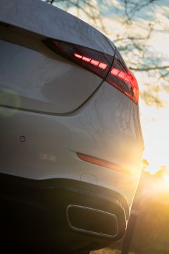 Valet Parking Services - Carlos Silva - Dawarahat