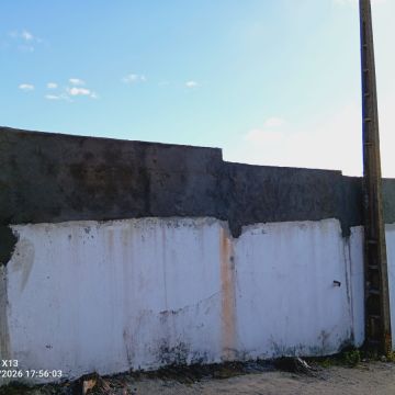 Vesta Remodelações & Piscinas - Alcochete - Tree Stump Grinding and Removal