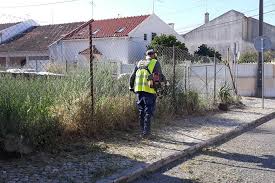 Limpeza Ambiental - Cascais - Remoção de Tronco de Árvore