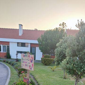 O Algarvio Manutenção de Jardins - Figueira da Foz - Shrub Removal