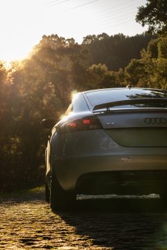 Event Staff - Carlos Silva - Dawarahat