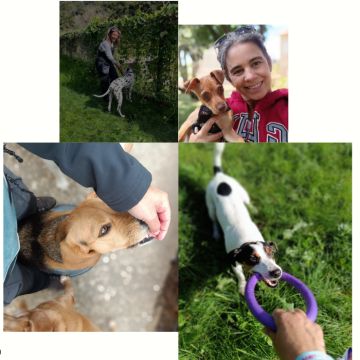 Cãoão - Oeiras - Dog Sitting