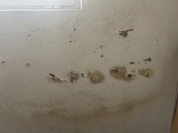 Renovierungsarbeiten