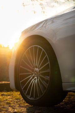 Gastronomy and Service Rentals - Carlos Silva - Dawarahat