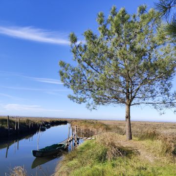 Vinas - Aveiro - Investigação Privada