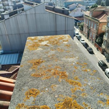 Vps pinturas e remodelação - Gondomar - Stair and Staircase Addition or Remodel