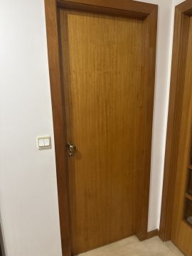 Tür lackieren