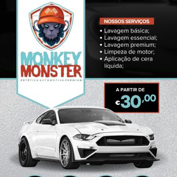 Monkey Monster estética automotiva - Mangualde - Carros