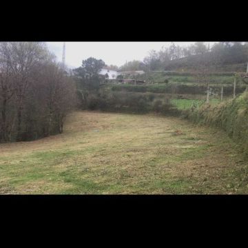 João & José Serviços - Vila do Conde - Remoção de Tronco de Árvore