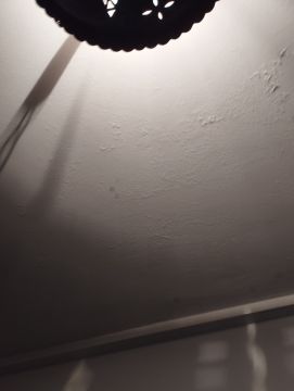 Interior Painter