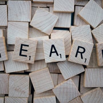 Luis Gabriel - Oeiras - TOEFL-Training (Test of English as a Foreign Language)