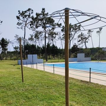 O Algarvio Manutenção de Jardins - Figueira da Foz - Tree Stump Grinding and Removal