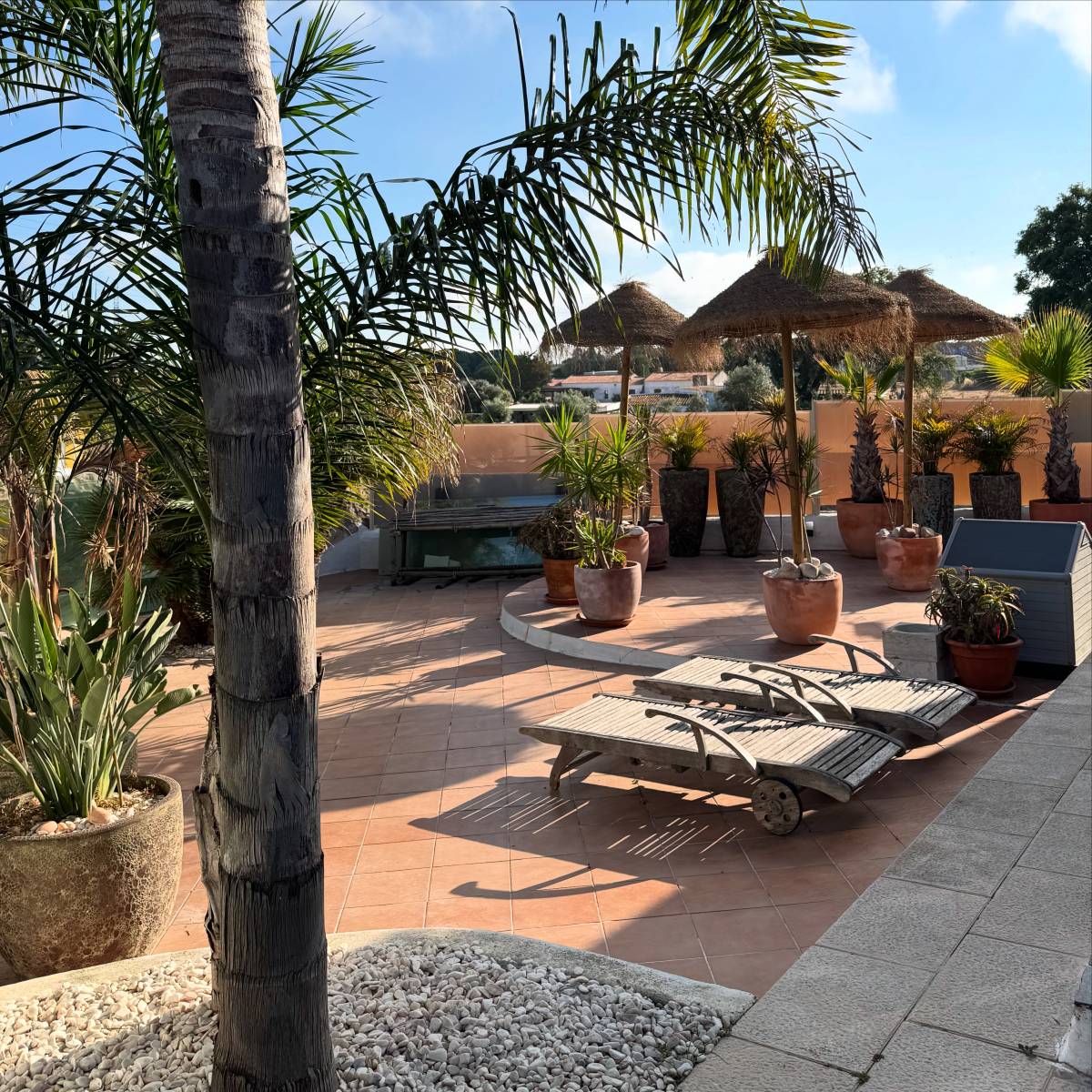 DOG BOUTIQUE HOTEL - Palmela - Hundepension