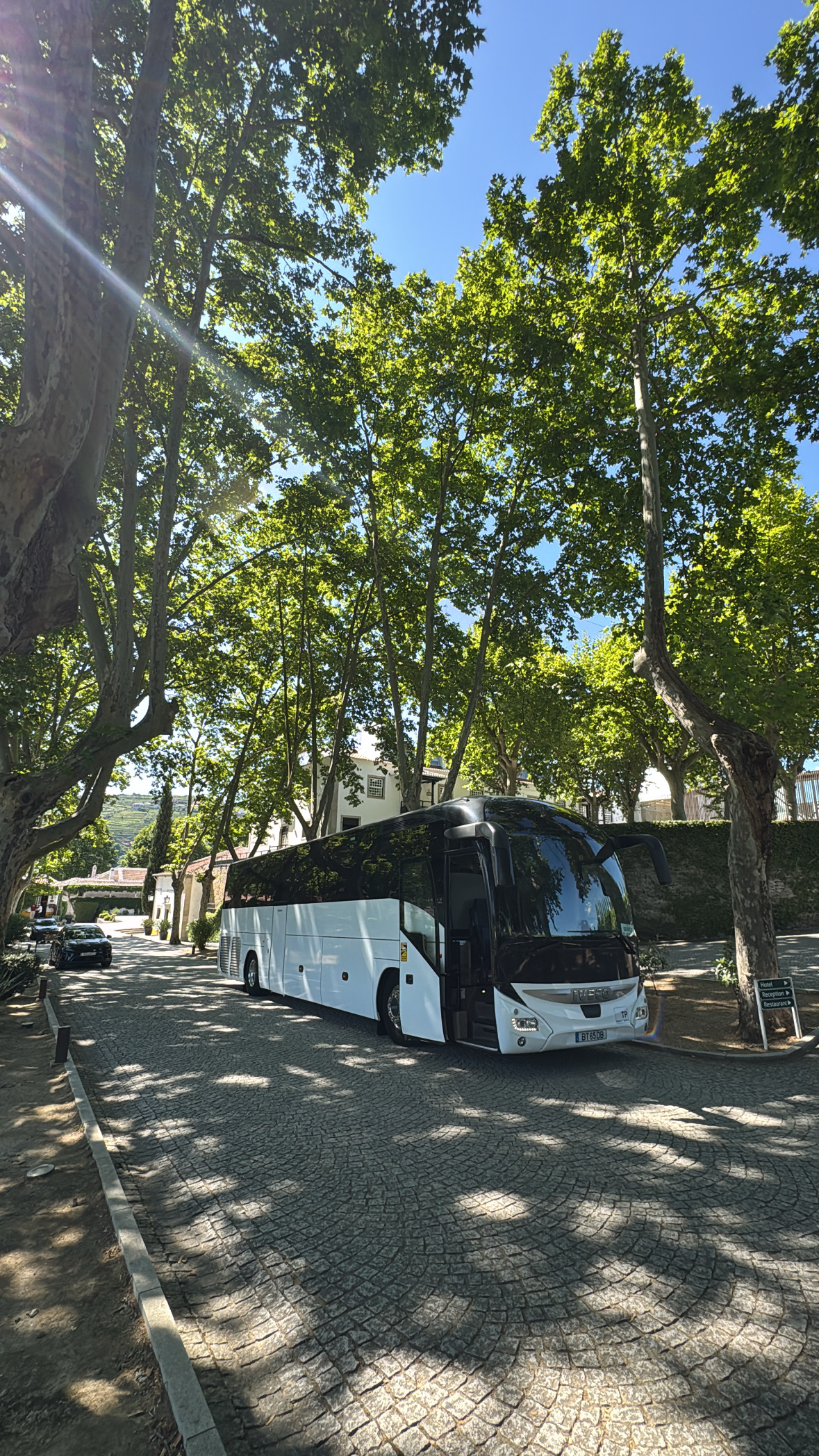Transportes Heleno e Correia, Lda - Vila Real - Aluguer de Mini Autocarro