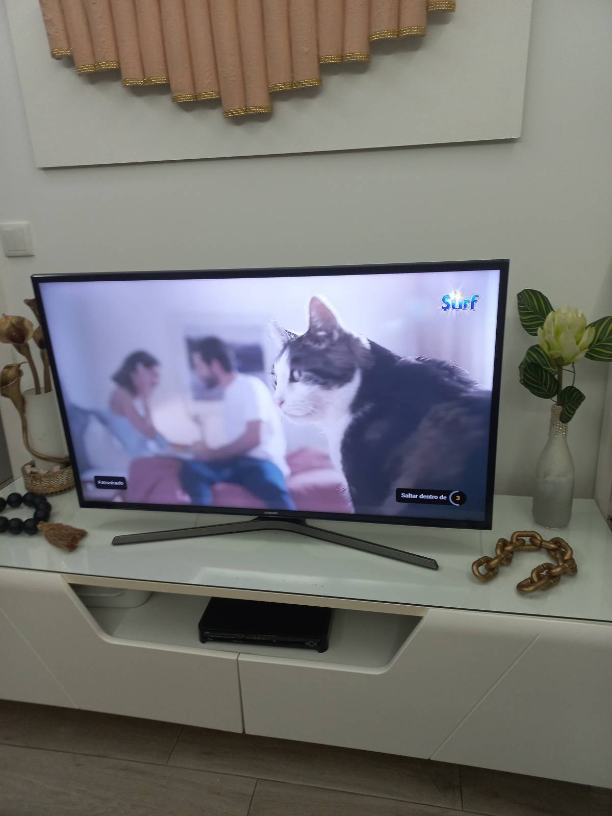 TV Repair Specialist