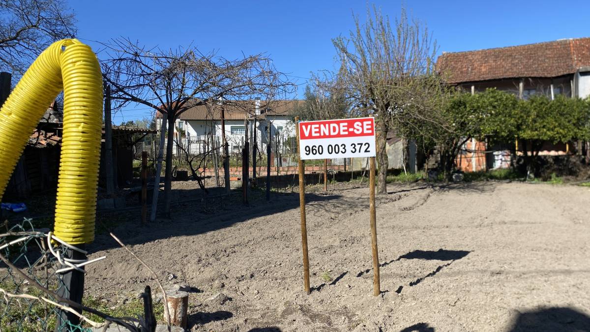 Economista Conselheiro e Consultor Imobiliário - Viseu - Edição de Conteúdos