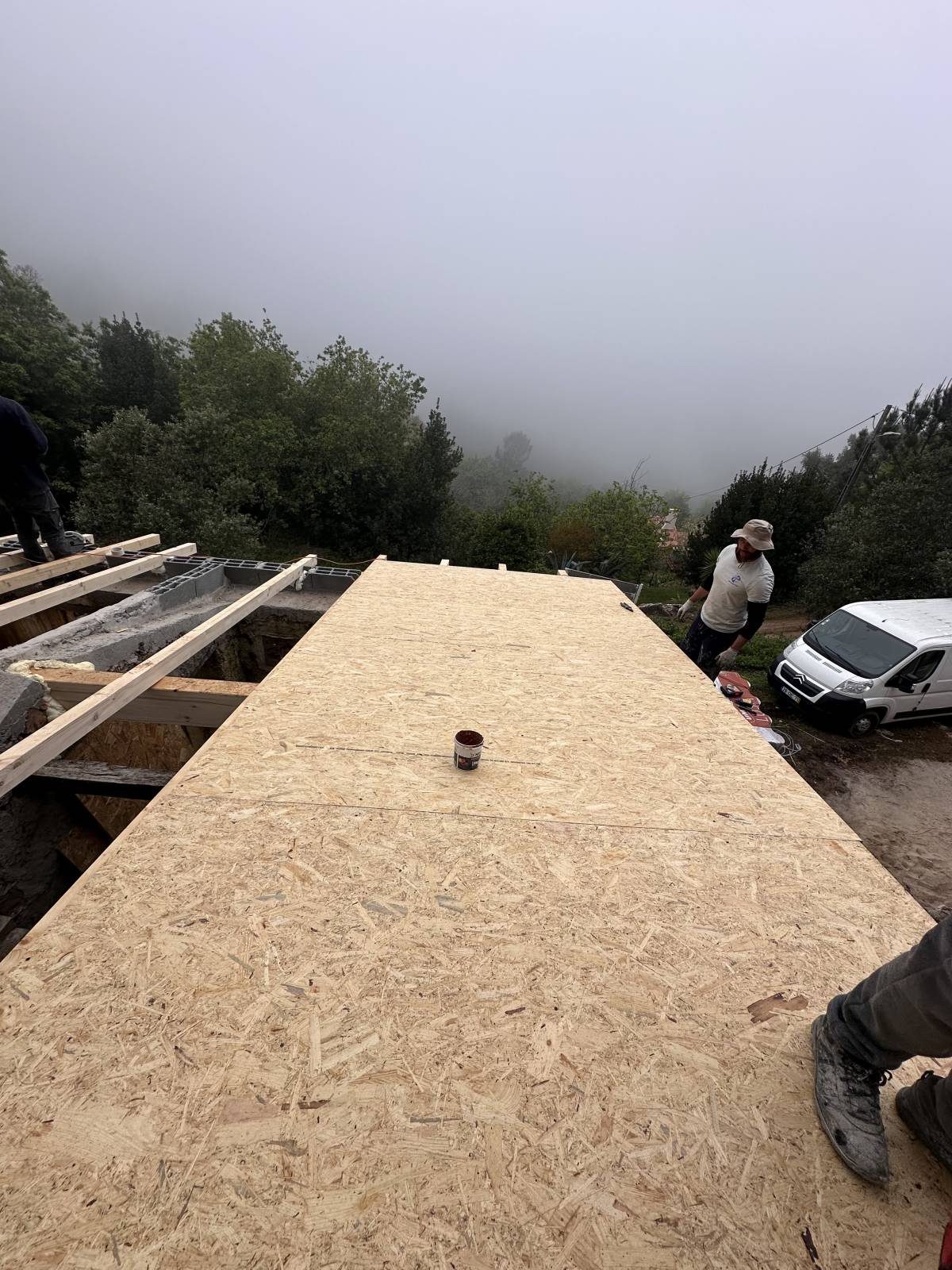 Fernando Pires - Sintra - Dog Fence Installation