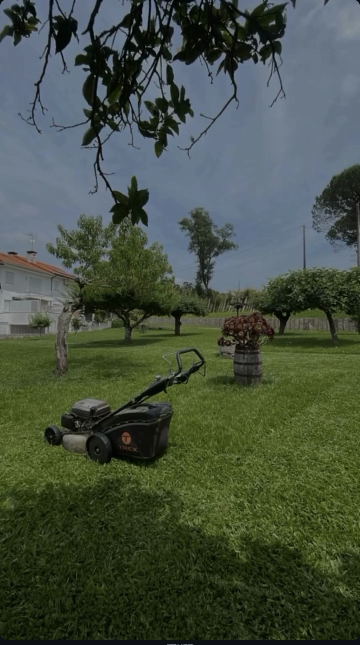 Marco Lopes - Monção - Lawn Mowing and Trimming