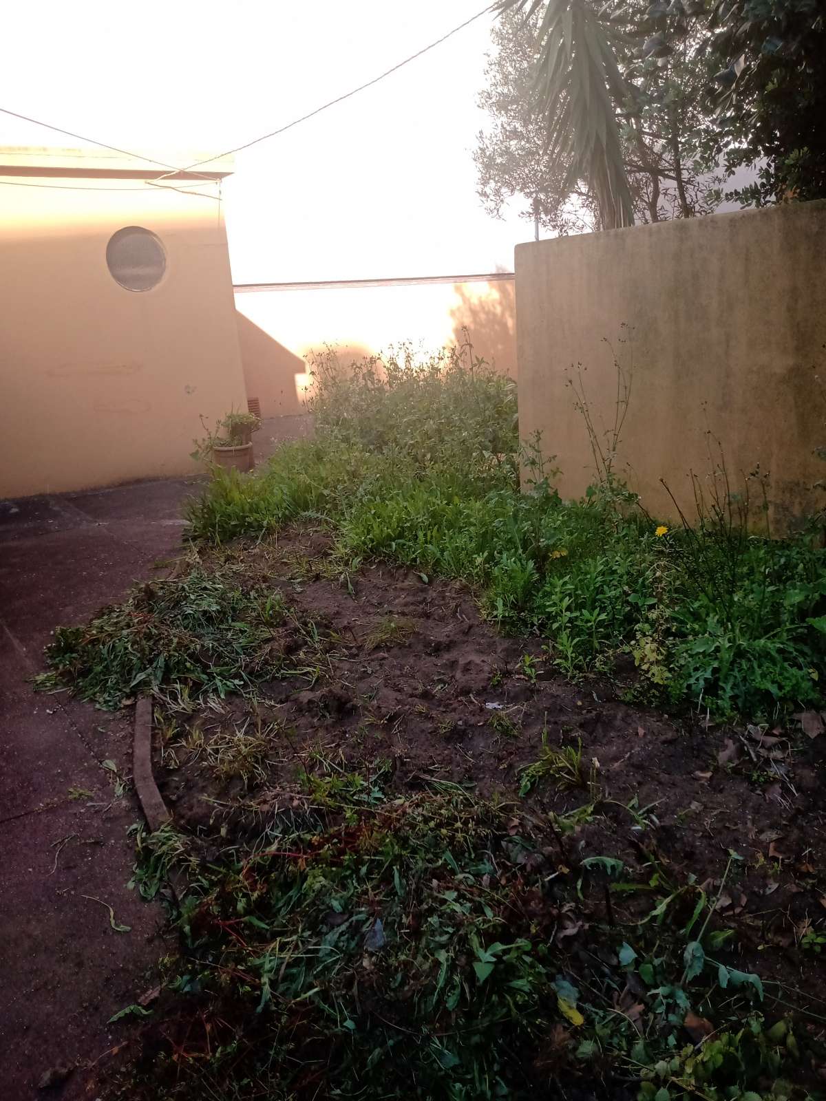 Cibele - Matosinhos - Property Cleanup