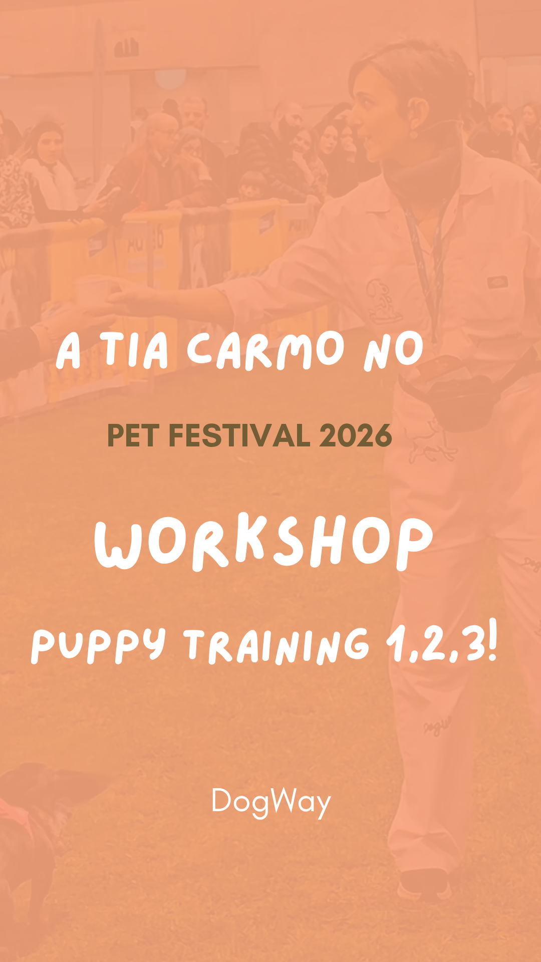 DogWay - Puppy Training - Cascais - Éducation canine - cours