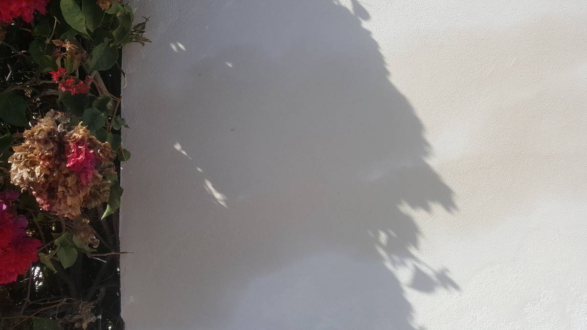 RP.pinturas - Lagos - Microcimento