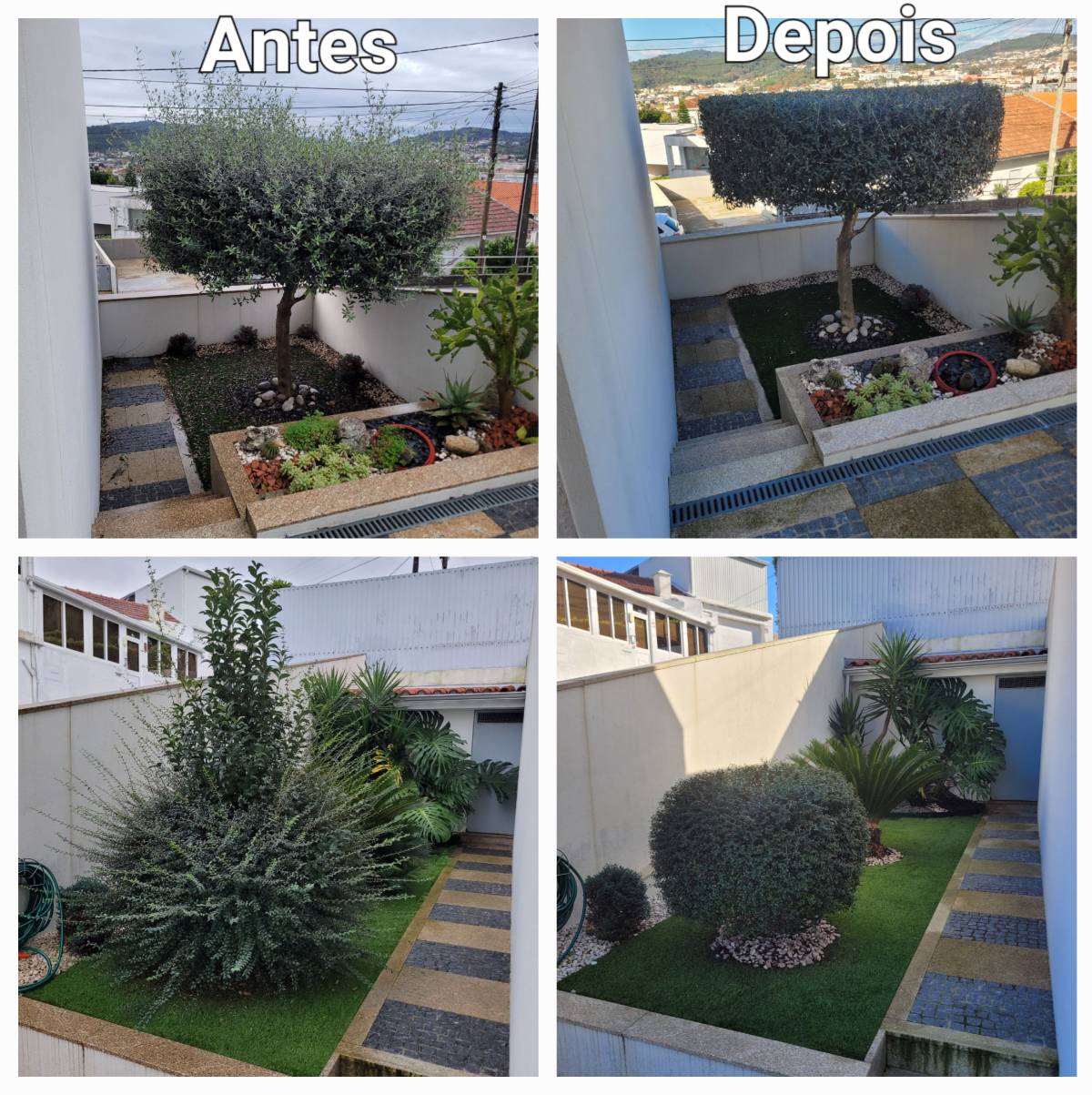 Serviço de Jardinagem
