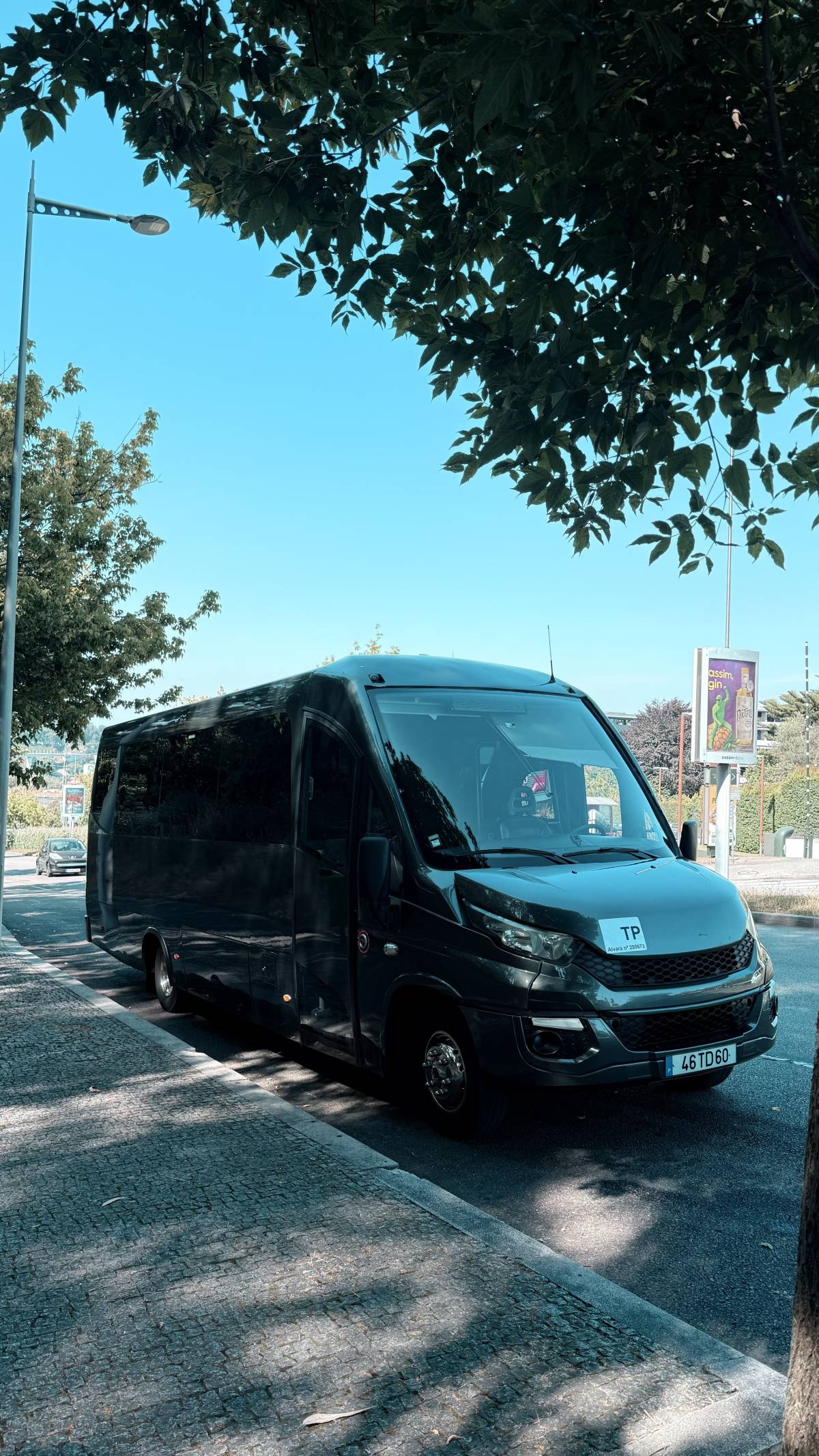 Transportes Heleno e Correia, Lda - Vila Real - Motorista