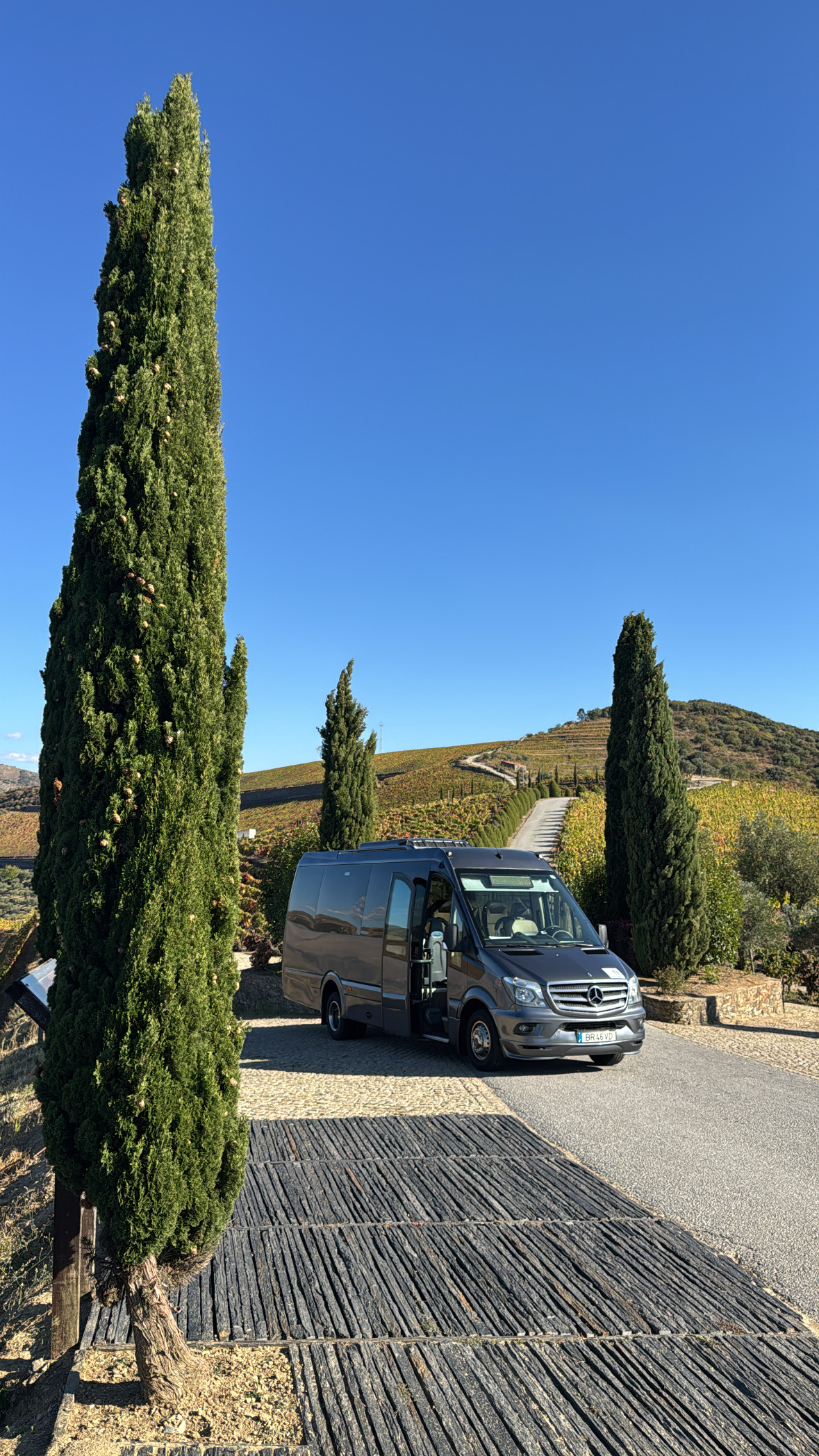Transportes Heleno e Correia, Lda - Vila Real - Aluguer de Autocarro