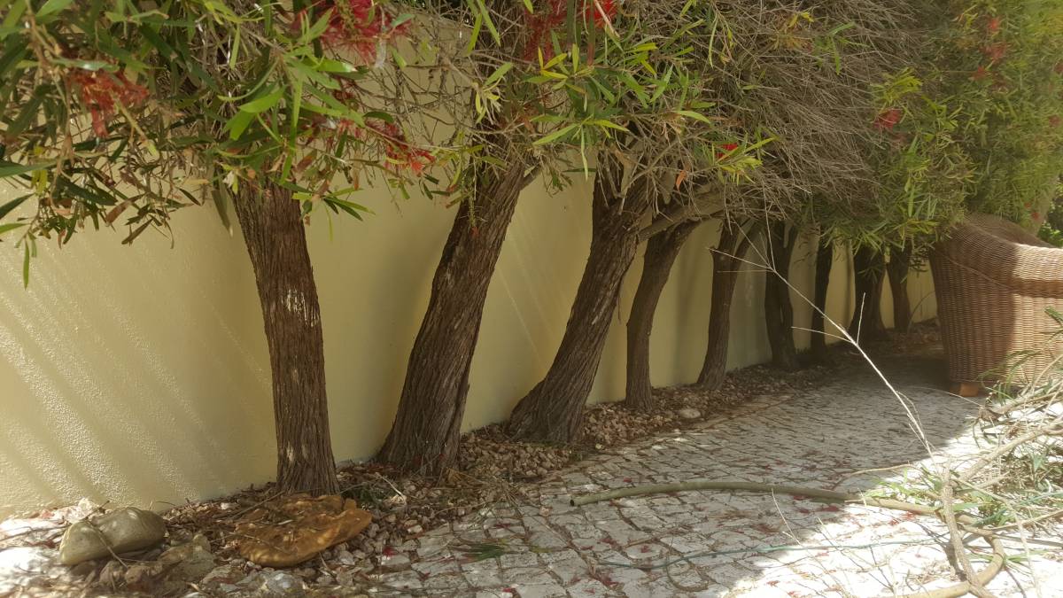 RP.pinturas - Lagos - Construção de Parede Interior