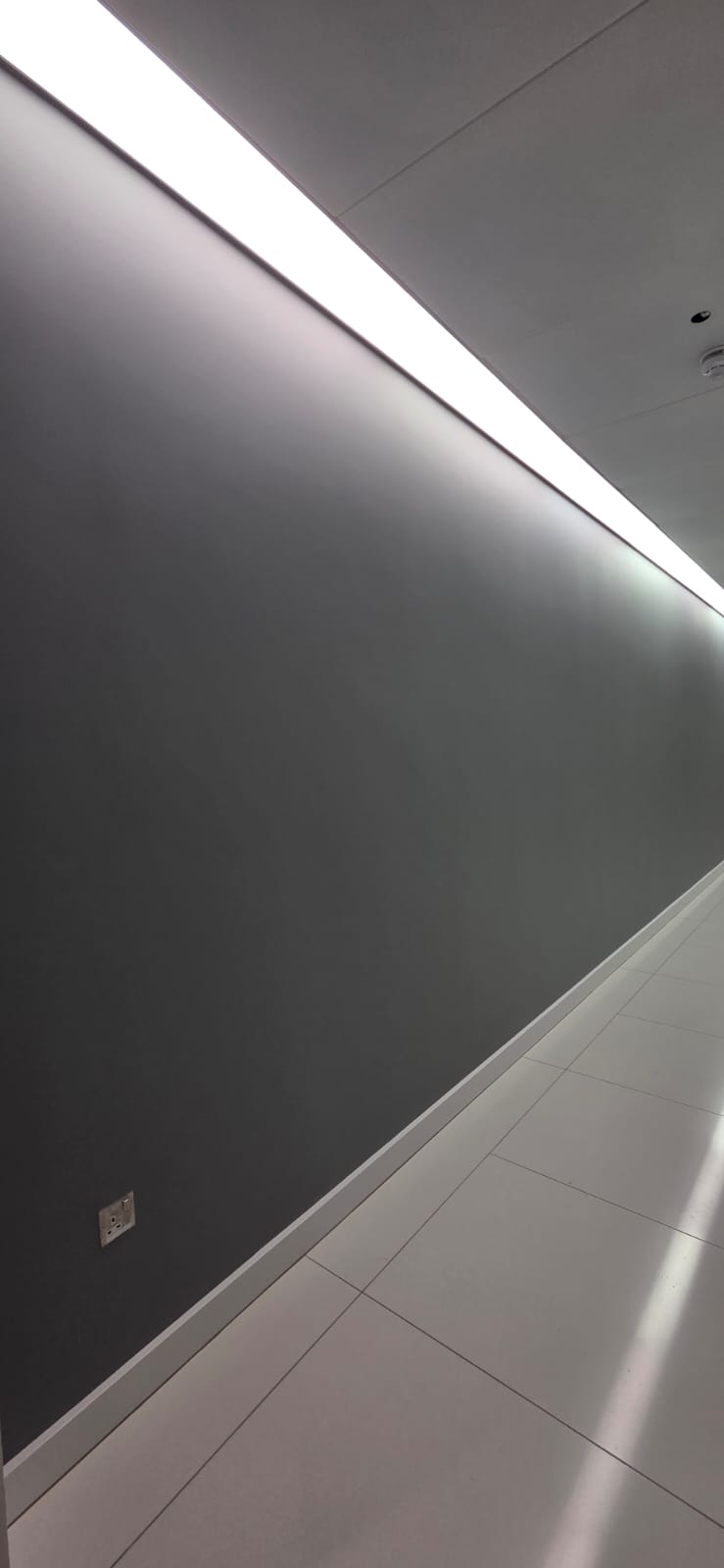 RP.pinturas - Lagos - Pintura