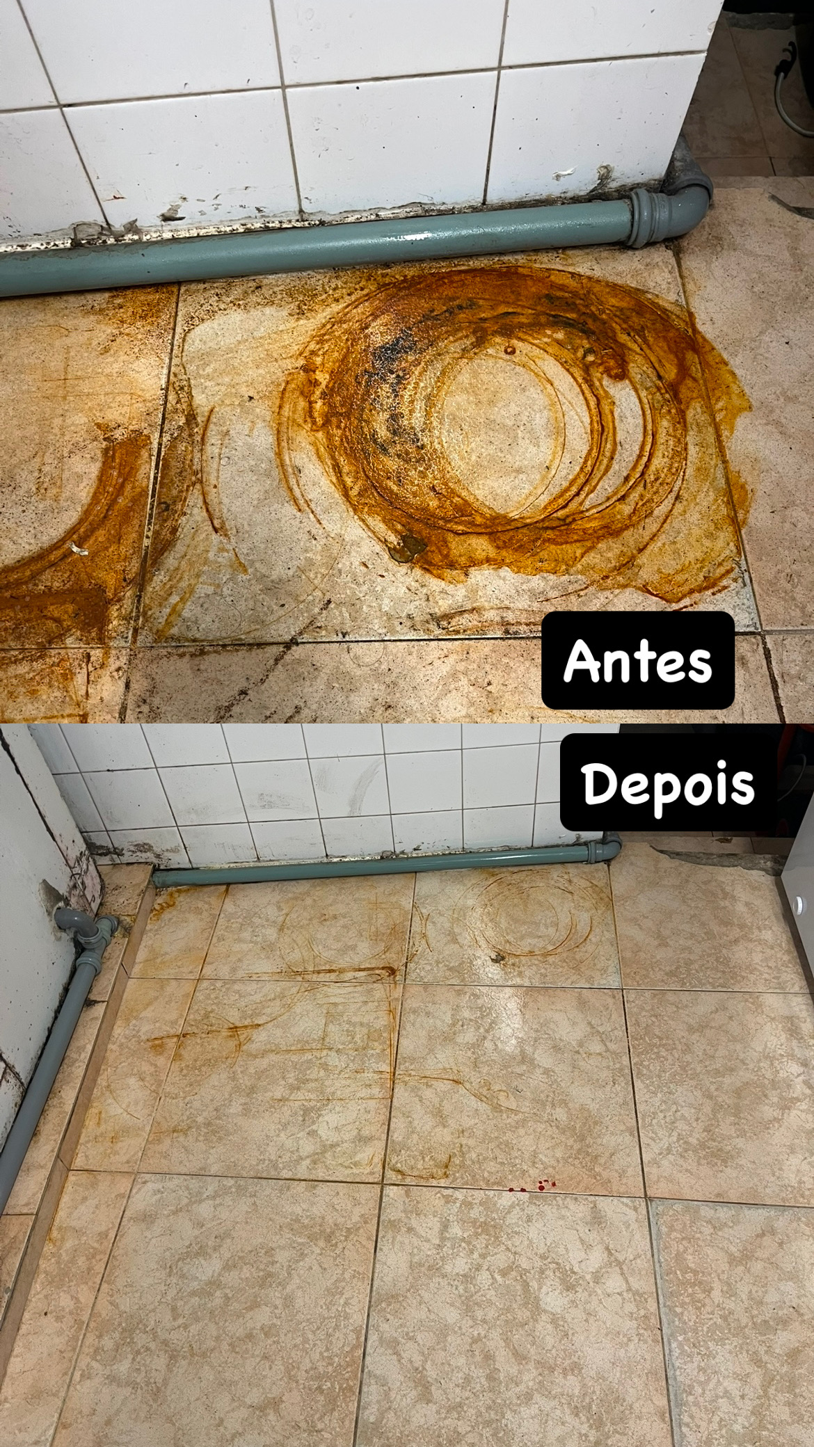 Walquiria Sena - Seixal - Home Organizing