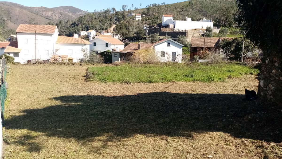 Ribeiro - Torres Vedras - Limpeza de Propriedade