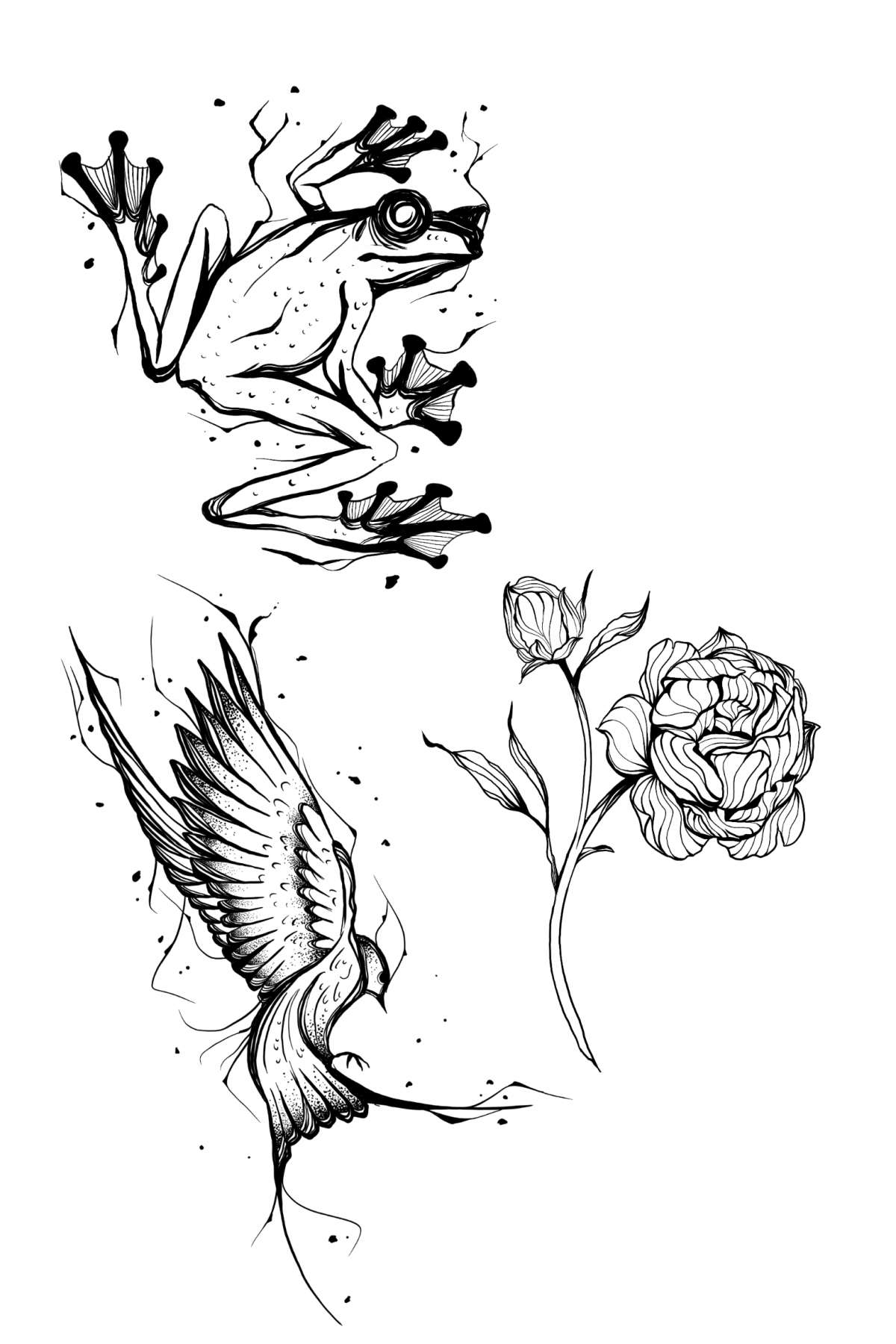 Grandline - Santa Maria da Feira - Tattoo Artists