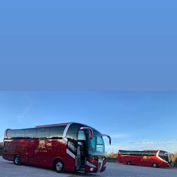 Vale do Homem Transportes - Vila Verde - Party Bus Rental