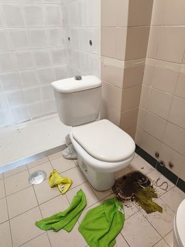 Especialista em Remoção de Lixo e Entulho
