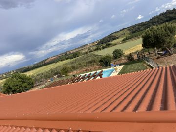 Fernando Pires - Sintra - Pet Door Installation