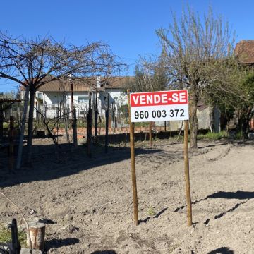 Economista Conselheiro e Consultor Imobiliário - Viseu - Edição de Conteúdos