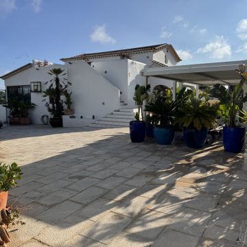 DOG BOUTIQUE HOTEL - Palmela - Hundetagesstätte (Hundesitter)