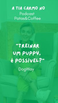 DogWay - Puppy Training - Cascais - Modification du comportement animal
