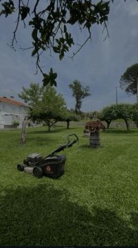 Marco Lopes - Monção - Lawn Mowing and Trimming