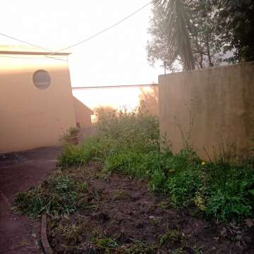 Cibele - Matosinhos - Property Cleanup